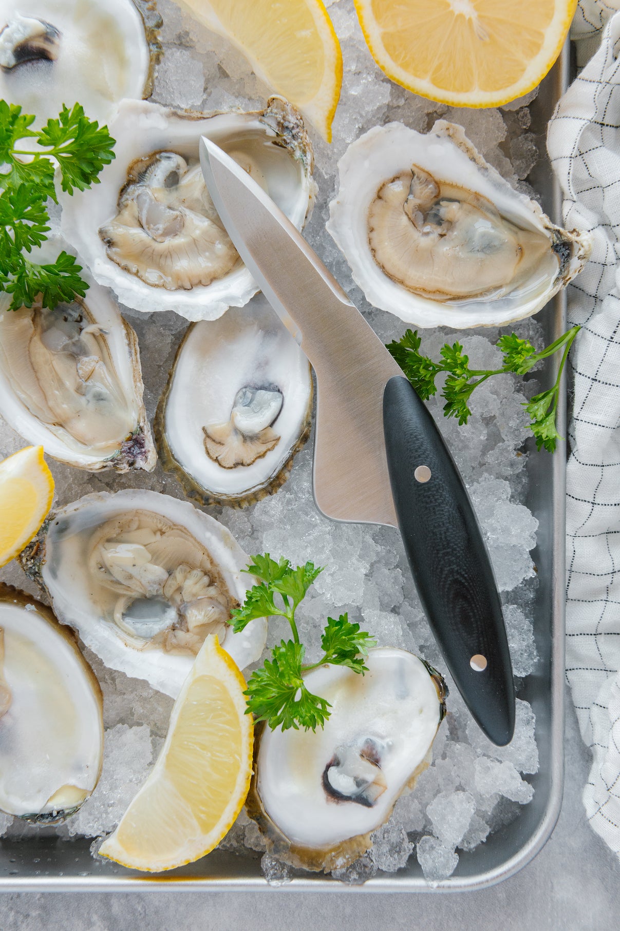 Waterman Oyster Knife