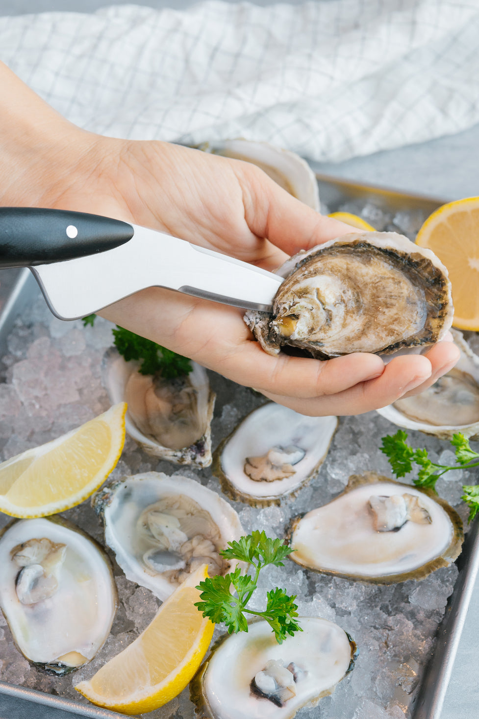 Waterman Oyster Knife