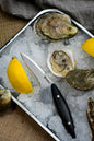 Waterman Oyster Knife