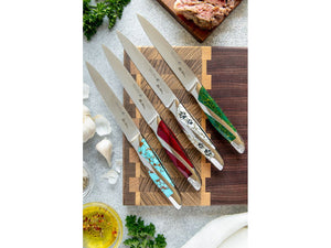 David Yellowhorse 4 Piece Steak Knife Set